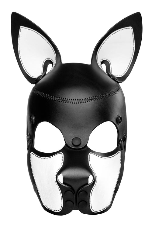 Product photo of a black and white leather pup mask with pointy ears front view