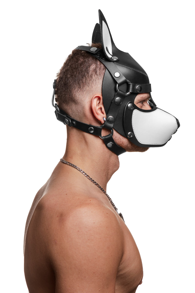 Model wearing a black and white leather pup mask and head harness with stainless steel hardware side view