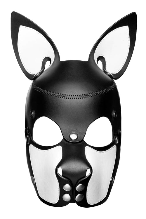 Product photo of a black and white leather pup mask with pointy ears and stainless steel hardware front view