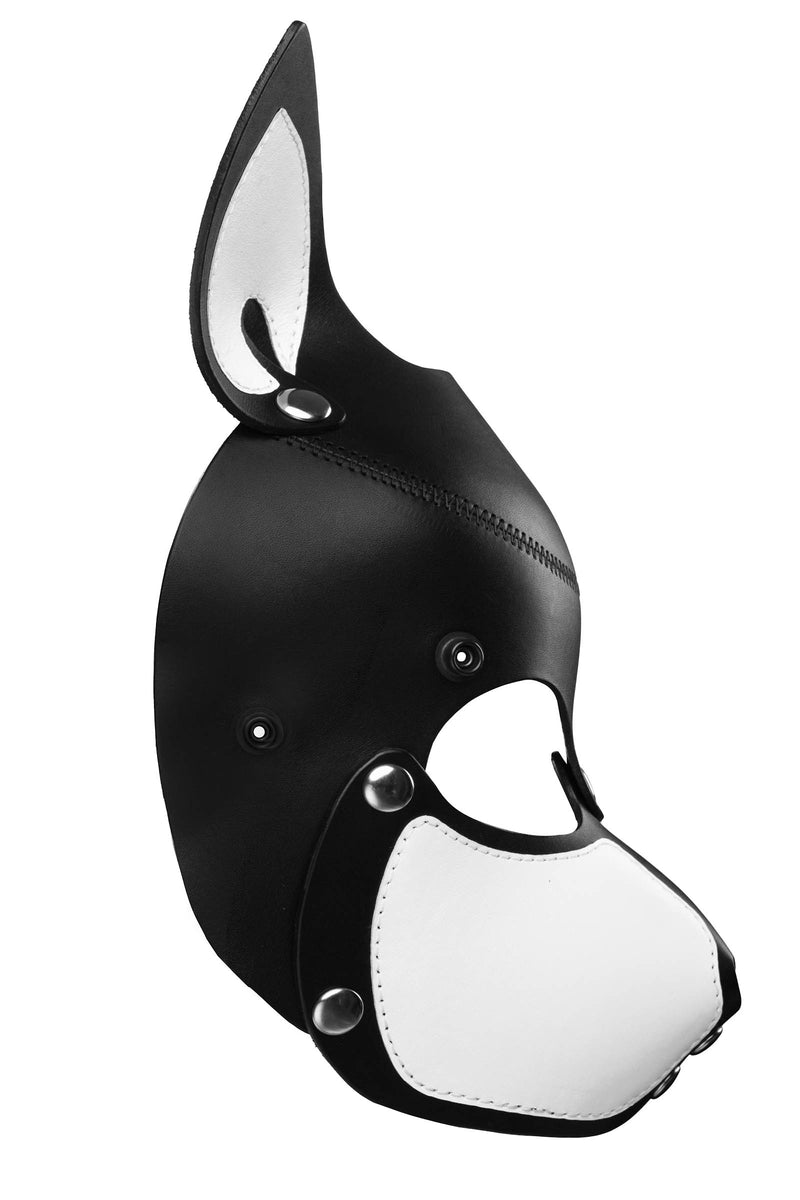 Product photo of a black and white leather pup mask with pointy ears and stainless steel hardware side view