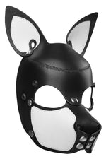 Product photo of a black and white leather pup mask with pointy ears and stainless steel hardware three quarter view