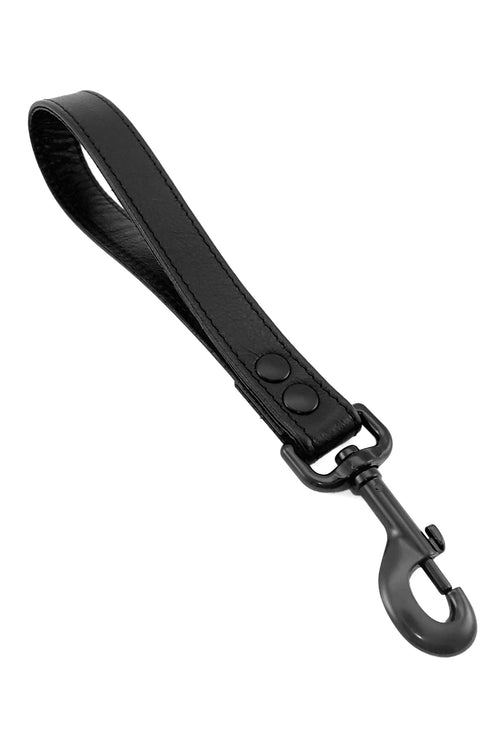 Black leather handle leash