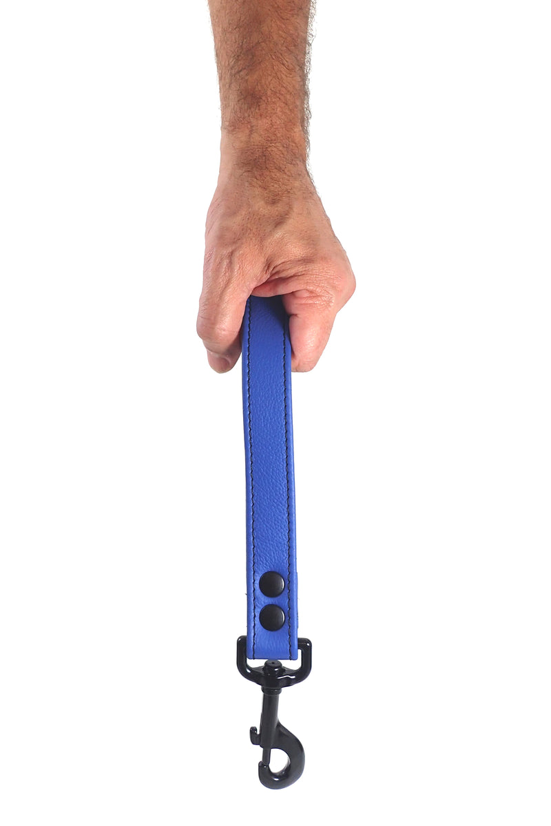 Model holding blue leather handle leash