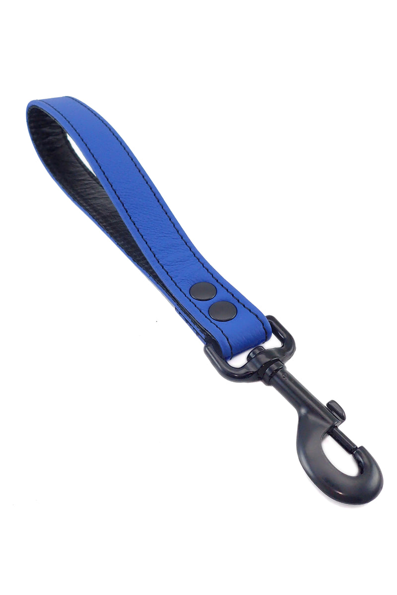 Blue leather handle leash