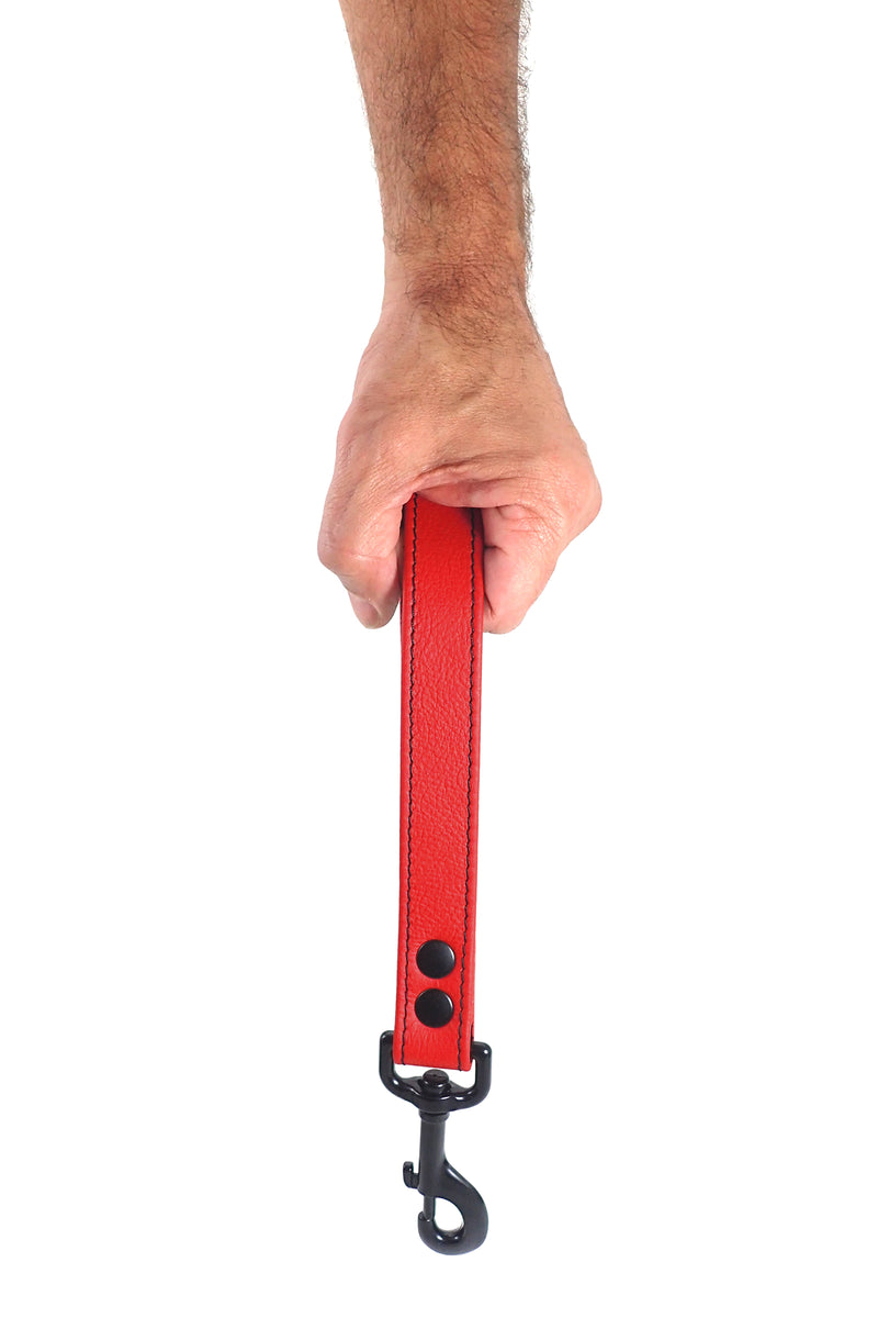 Model holding black leather handle leash