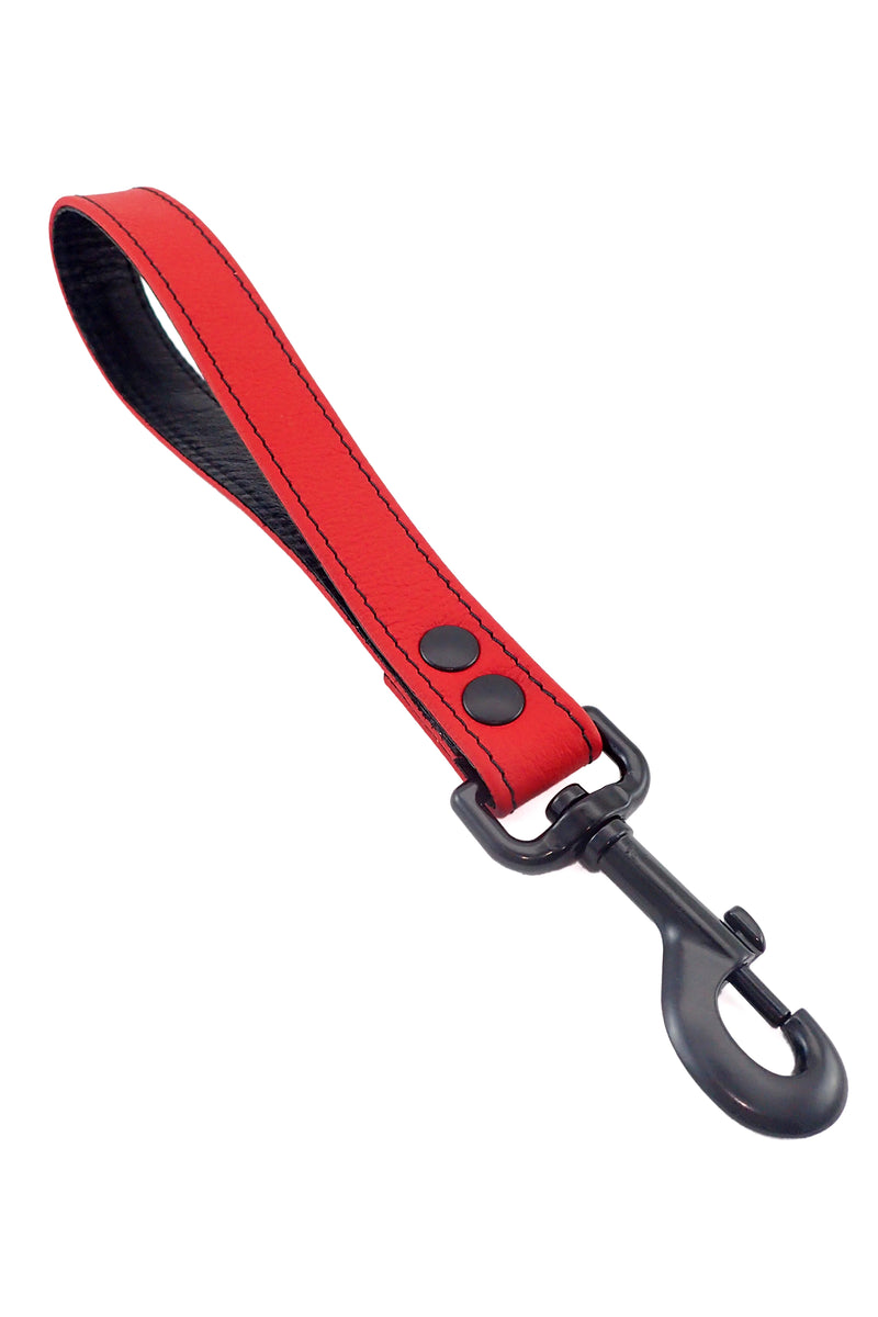 Red leather handle leash