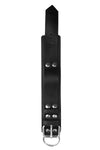 Black and stainless steel leather ankle restraints