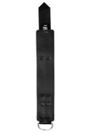 Black and stainless steel leather ankle restraints lining